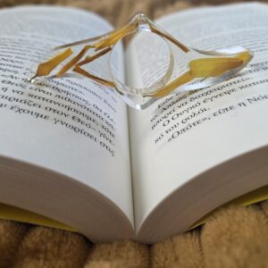 Petal daisies trapped into the ring