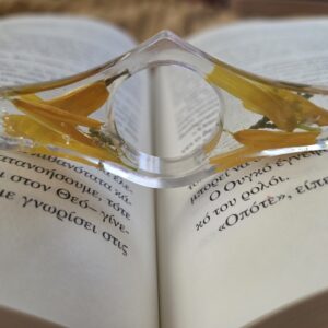 Daisy Petals for reading