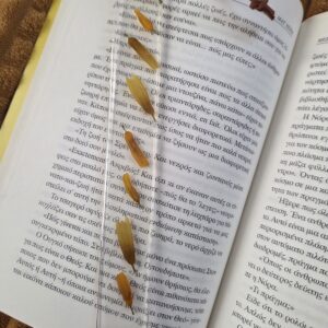 Long Bookmark daisy petals