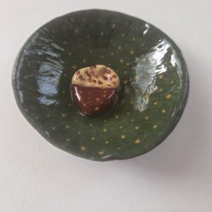 Oak in jewelry trinket dish